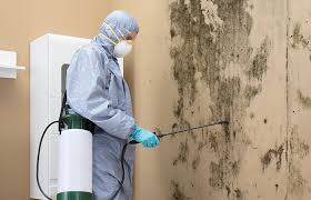 Best Residential Mold Inspection & Testing  in Aviston, IL